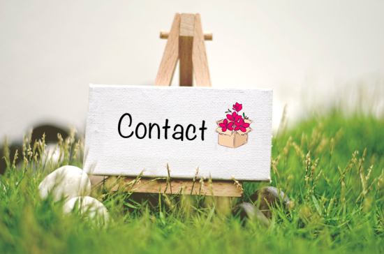 Contact Verrassingstuin Velserbroek